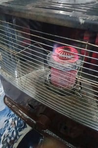 بجاج RE • تكتك أصفر • أوراق جاهزة