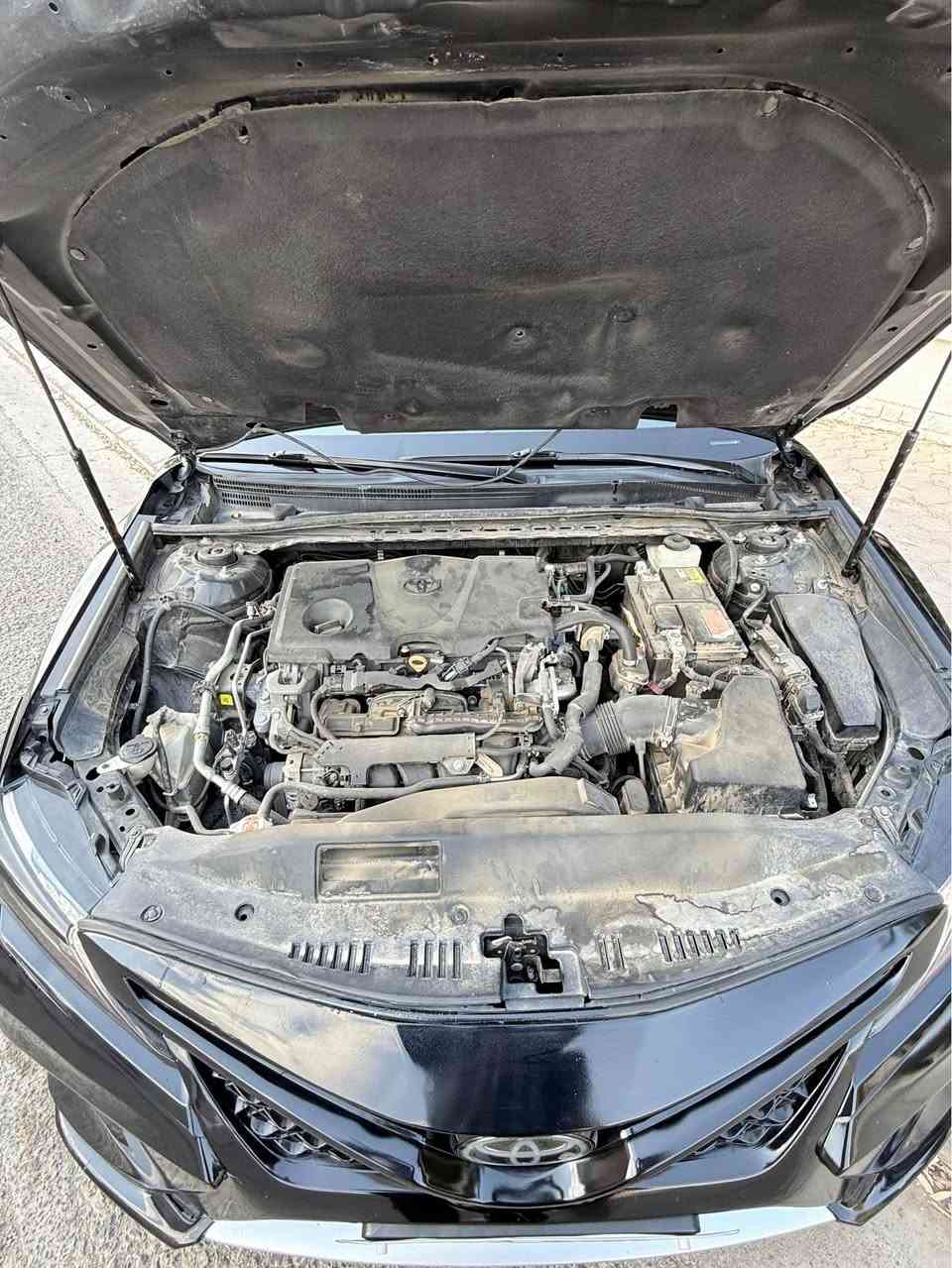 سلام علیکم تويوتا كامرى مۆدیيل(2020)XSE ڕەقەم و سەنەوی و هەزەى نويية . 
سەیارةكة بي سبوغة  1 پارجةى هةية ٣-٤ جيي بجوك ساردى هةية . بەناوکردن و گێڕ مەکینە و تەبرید بەشەرت
سعر198 $ وەرەقە و معامەلەکی برایانەی تێدایە 

***********
*********** أربيل, العراق
