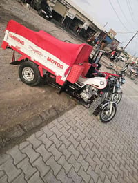 ستوتات • موديل 21 • دلي عباس