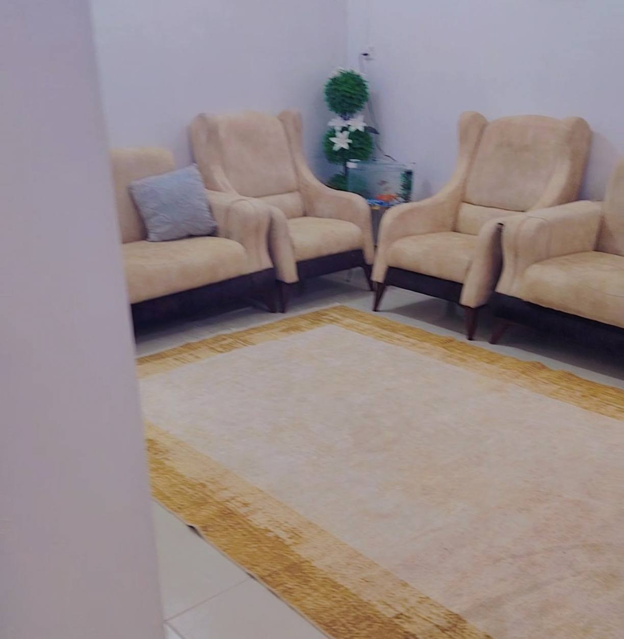 قنفات للبيع نضيف مابي ضرر سعر 275


**إذا كنت صاحب هذا الإعلان وتريد حذفه لأي سبب، رجاءا أرسل رسالة إلى الدعم الفني**