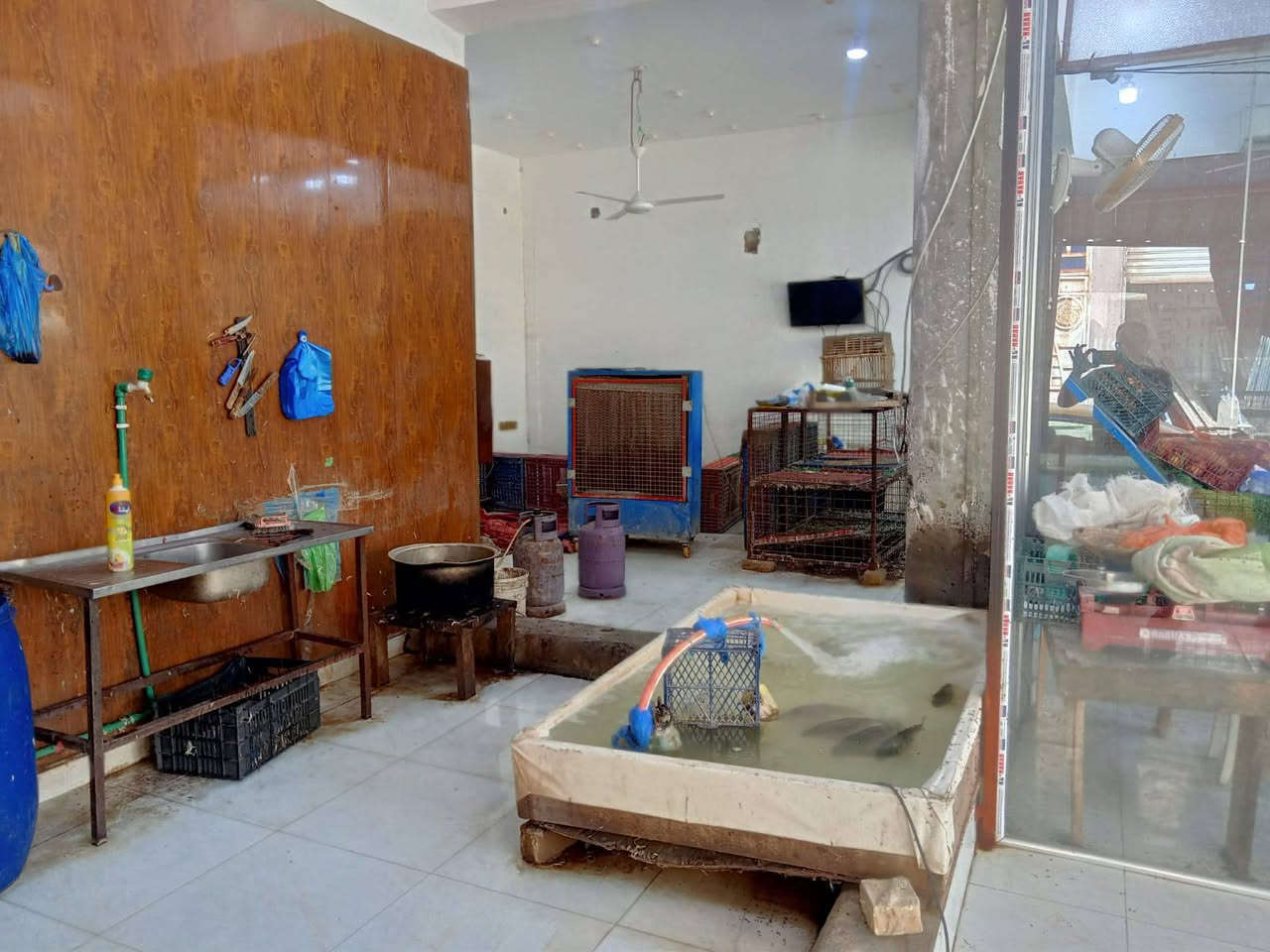 السلام عليكم مجمع لبيع الاسماك والدجاج والخضروات للبيع العنوان الناصريه الموحيه شارع دار المسنين فرع صيدلية الجبل سبب البيع عدم التفرغ للأستفسار الاتصال على الرقم ***********
