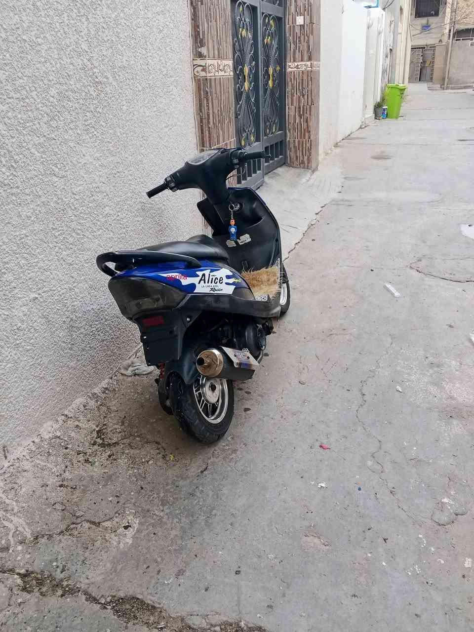 سلام عليكم
ماكس عدله للبيع 

صالنصه رياضي 

قطره دهن رياضي 

ويل كاب رياضي 

موطور نضيف حيل سعر خاص  ( مكان بلد )


**إذا كنت صاحب هذا الإعلان وتريد حذفه لأي سبب، رجاءا أرسل رسالة إلى الدعم الفني**