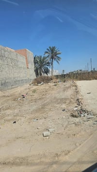 أبو الخصيب • طابو صرف زراعي • ٢٥٠م