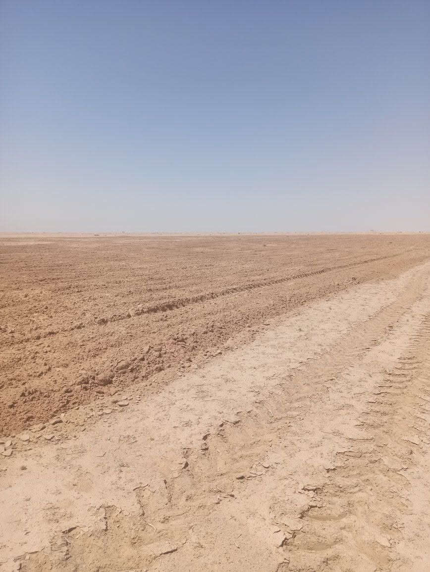 علي محسن الزيدي السلام عليكم  اكرر النشر بصوره صحيحه
مزرعه للبيع عمود 260 شارع الديوك 
المساحه 75 دونم تبعد عن طريق نجف كربلاء 5كيلو 
شارع كله تبليط 
الارض فارغه المجاوريين بصفه زرع خير من الله 
للبيع او ضمان 
للتواصل اكثر  صاحب الارض  ‏‪***********‬‏ ابو محمد الزيدي
