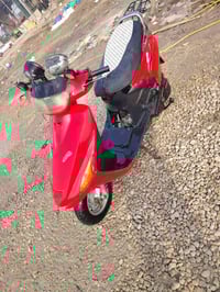 فراشة • بيع خاص