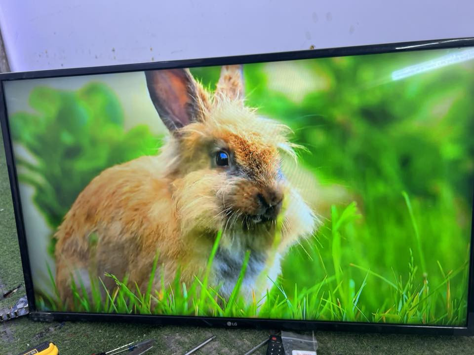 شاشات ثنين الاولة حجم 43 شارك إنترنيت نضيفة كلش صورتها تخبل سعرها 150 ثانية حجم 43 نوعيتها الجي LGسعرها سعرها 150عنواني بغداد ابو غريب  مراسلة خاص


**إذا كنت صاحب هذا الإعلان وتريد حذفه لأي سبب، رجاءا أرسل رسالة إلى الدعم الفني**