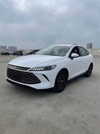 قين بلس • ١١٩ • السليمانية