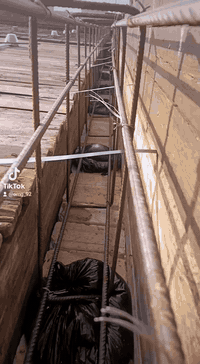 الالتزام والانضباط وممارسة الأعمال بجديّة على النحو المطلوب دون التراخي أو فقدان الشغف و التركيز والدقة أثناء العمل مع الحفاظ على الحماس وعدم تأجيل الأعمال للغد، كما أن التنظيم والابتعاد عن العشوائية في العمل لها دور فعال في نجاح العمل.
مكتب #العطافي للأشراف و التنفيذ و الأستشارات الهندسية 
***********
