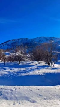 🦋#عروض عيد الفطر المبارك🦋#مع لجين سفرتك غير احجز مع لجين وعيش احله تجر...