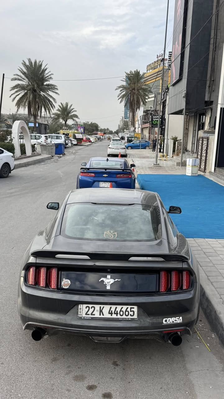 Ford Mustang 2017
🔹 6 سلندر
🔹 محرك، كير، شواصي، ولغود بشرط
🔹 حادث جانبي سابق (باب + جامَلغ مصبوغات)
🔹 شبر بخشم الجامَلغ
🔹 البنيد طخة خفيفة

🔹 ويلز Vossen VC3 (سعرهن 400$)
🔹 سقف ستايل رولز رويس
🔹 ستيرن 3 وضعيات
🔹ادامه وتايرات  جديده
🔹باقي مواصفات ال 6 معروفه 
🔹ماشيه 95 ميل
🔹سبايدر مال شيلبي 
🔹مثبت سرعه كلشي شغال بيها

🔹 السيارة نظيفة كلش
🔹 بيها نقوصات جمالية بسيطة جداً ك جماليه
🔹 رقم أربيل مميز: 44665
 💵 السعر 142 وبي ماجل بسيط
تواصل خاص
⸻


**إذا كنت صاحب هذا الإعلان وتريد حذفه لأي سبب، رجاءا أرسل رسالة إلى الدعم الفني**