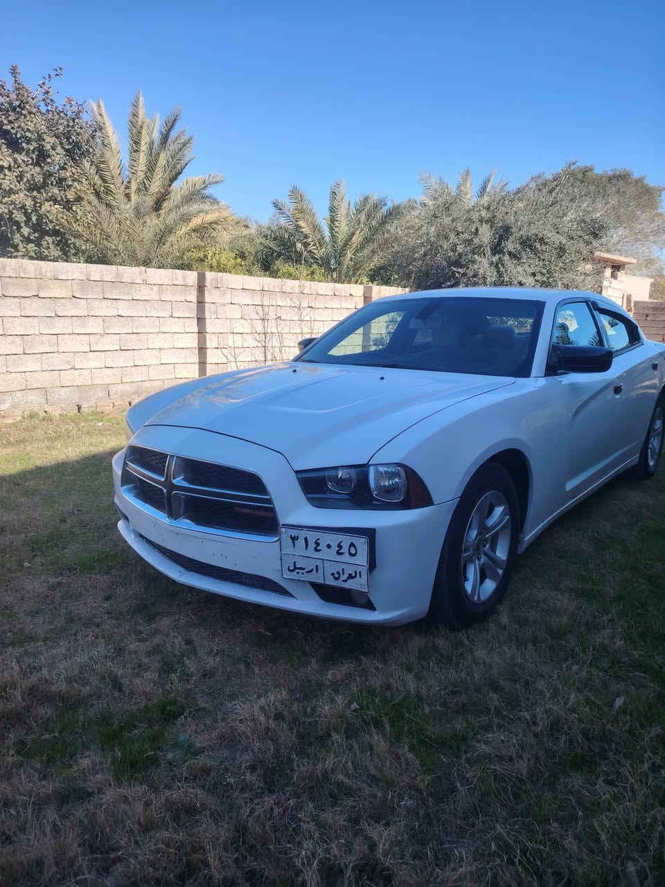 السلام عليكم جارجر موديل 2014كص جنطة متوم طبق الصل شرط الحاسبة سيارة طك كارتون كير ومحرك شرط محرك3600 صدر وتخم تاير طبة كشر وقرقة جديد تبريد تدفئه كلو شغال اربع كشانة كهربائي داخل لونين تحكم ستيرن جهتين شفتان بل الستيرن سيارة فول مواصفات عدة الفتحة مضومت لايت زنون كهربيات كلهة شغالة السعر 62 وبيهة مجال بصيط مكان السيارة العلم قريت الربيضة بيع نقد بدون قصط ولا وعدة ***********)***********
