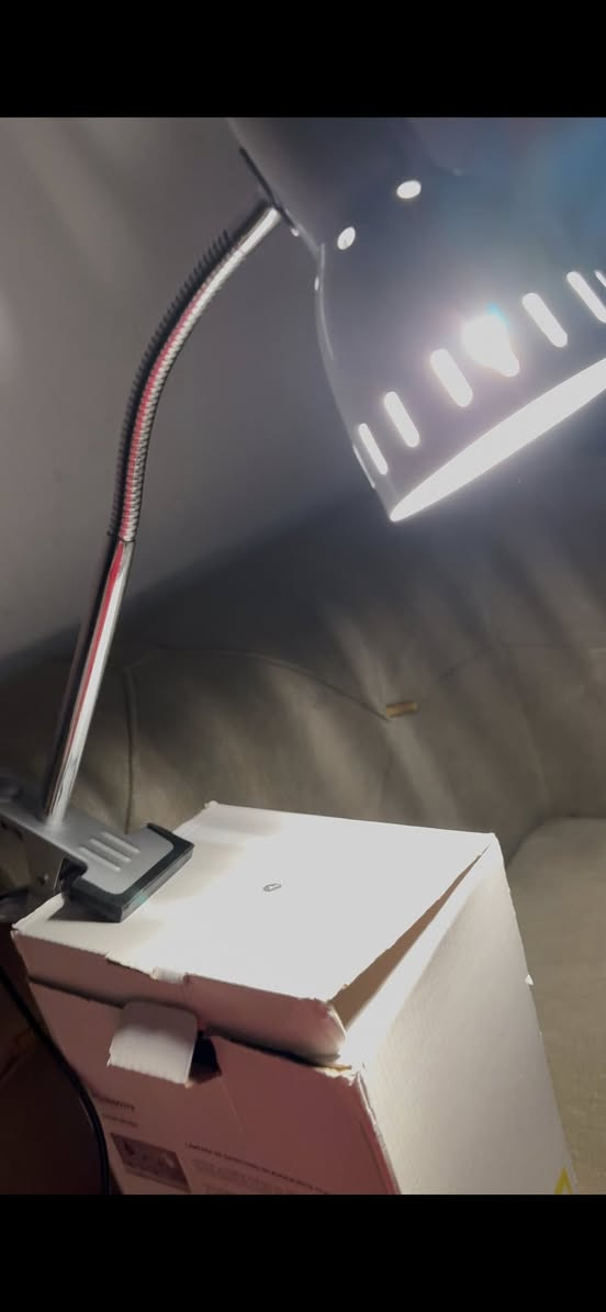 لد كلش قوي مكتبي ستيل سعر 8🌹


**إذا كنت صاحب هذا الإعلان وتريد حذفه لأي سبب، رجاءا أرسل رسالة إلى الدعم الفني**