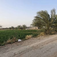 : ارض زراعيه للبيع  3ونص دونم على عقد نظام 35  تحتوي على منزلين ومجموع...