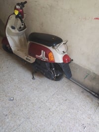بوليس • ماكس