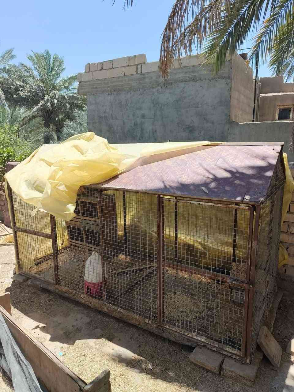اغراض للبيع كربلاء


**إذا كنت صاحب هذا الإعلان وتريد حذفه لأي سبب، رجاءا أرسل رسالة إلى الدعم الفني**
