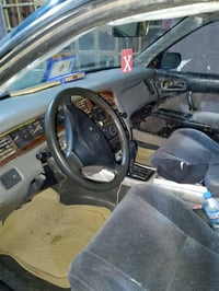 كراون بطه • ١٩٩٢ • مصبوغة