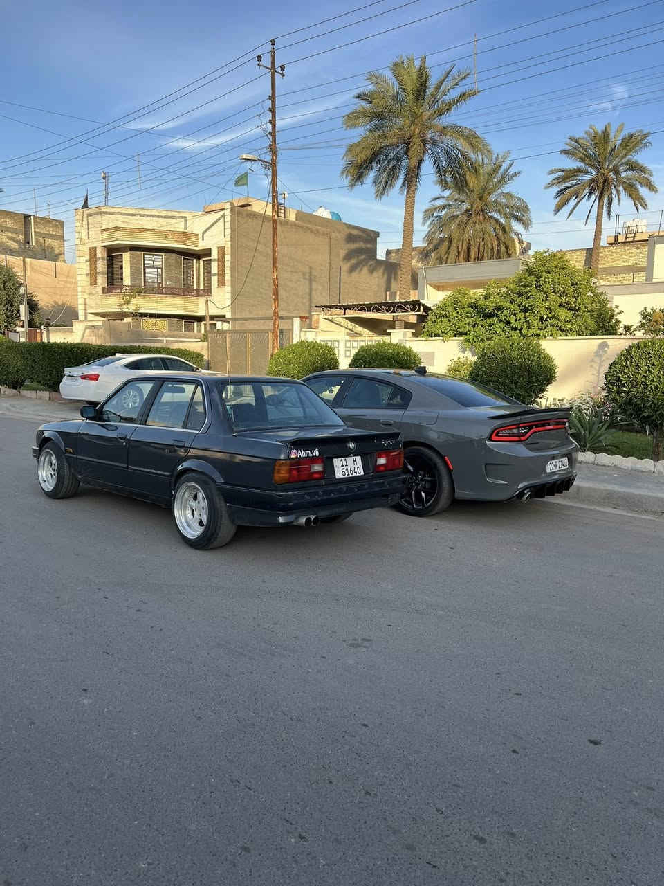 السلام عليكم
سيارتي الزعرة للبيع 320i موديل 1991 اصل وارد يابان فول كهرباء مكينة 6 مفتوح كير اوتو ميكانيك اكسل 8 براغي 3.73 معدل فول ويل AC شنايزر حجم 16 تو سايز خلفي عرض 10 انج امامي 9 انج و معرف بيش سعرة عربانة خلفية دسك جام كهرباء اريل كهرباء بلادي و شغال ساعة وسط الدشبول شغالة سنتر لوك 4بيبان + قبق بانزين و جنطة كلهة شغالة دبل طوافة سيارة بلادية مصبوغة عام اثر جراد مكفولة لغود و شواصي و خياس رقم بغداد دولي بسمي هزة شهر ال8 لايتات بوش اصلي نقص السيارة كمبريسر تبريد و سيارة بلادية ما ملعوب بيهة السعر 52
و بي مجال بسيط حك الجية❤️ عنواني بغداد الطالبية *********** و متواجد خاص
