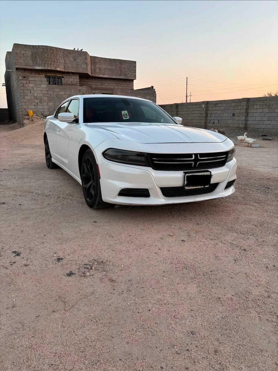السلام عليكم جاجرsxt تو ويل موديل 15اصل رقم بصره ضررها كما موضح بامريكا الصور بالمنشور جاملغ وباب جهه اليسره والباب الخلفي والمدكر الخلفي مصبوغ توحيد لون بدون ضرر شواصي ولغود سليمه كهربائيات تبريد كلشي شغال السعر 150مكاني البصره الزبير ***********
