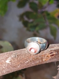 خنصر • محابس