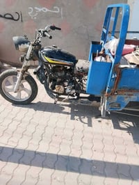 ستوته • تكريت • الزهور