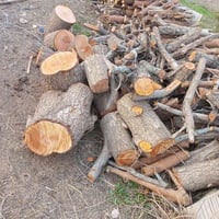 كيه خشب • يابس • عرمط تين توث