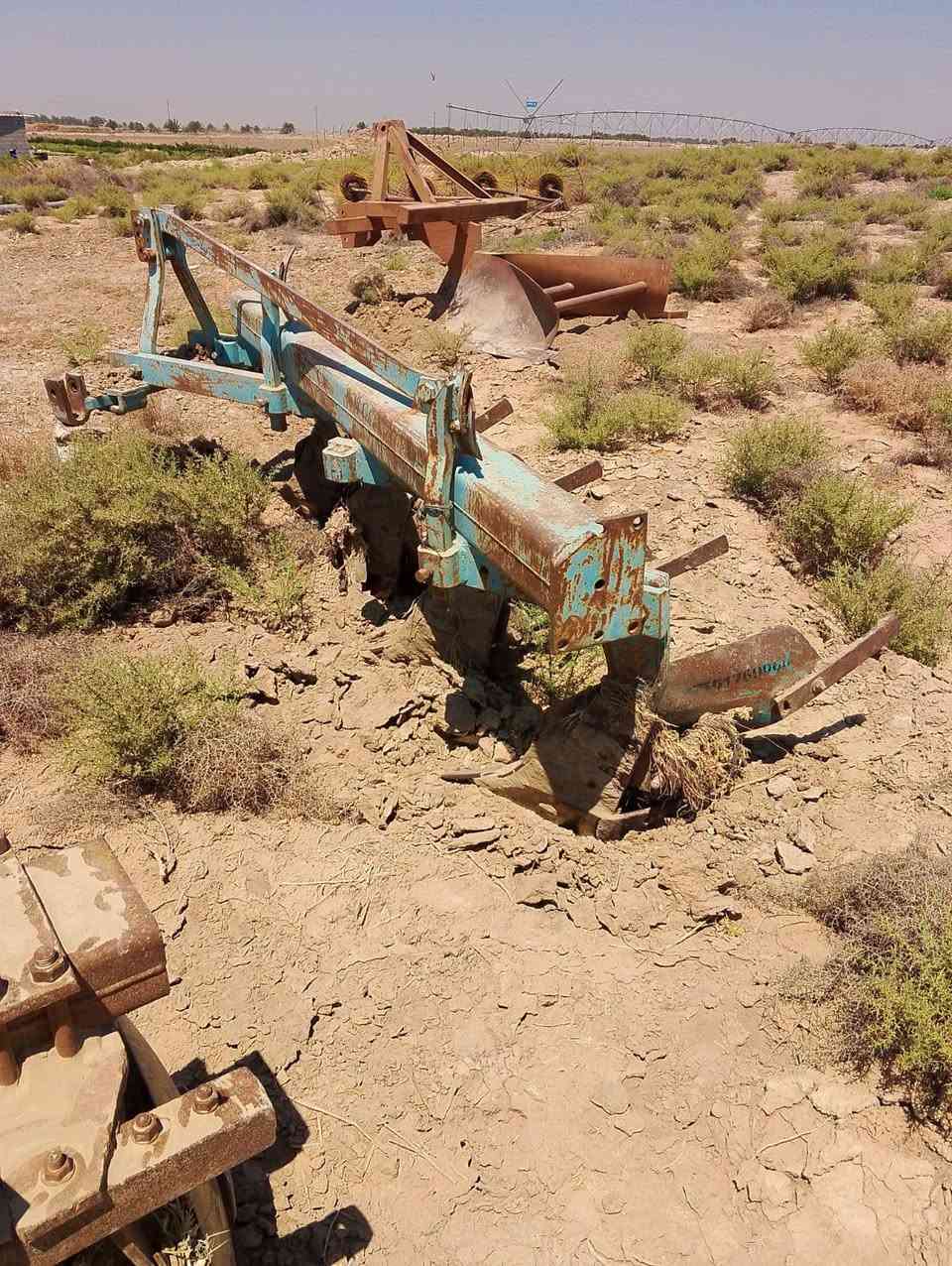 سلام عليكم فدان إيطالي ناردي مكفول من كل عيب شرعي مكان بابل اجبله الاتصال ***********
