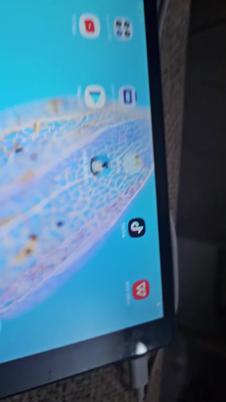 ايباد بهذا الشكل تفاصيل داخل الفيديو


**إذا كنت صاحب هذا الإعلان وتريد حذفه لأي سبب، رجاءا أرسل رسالة إلى الدعم الفني**