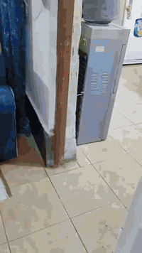 خلف مصرف الدم • ١٦٠م • ٥ غرف