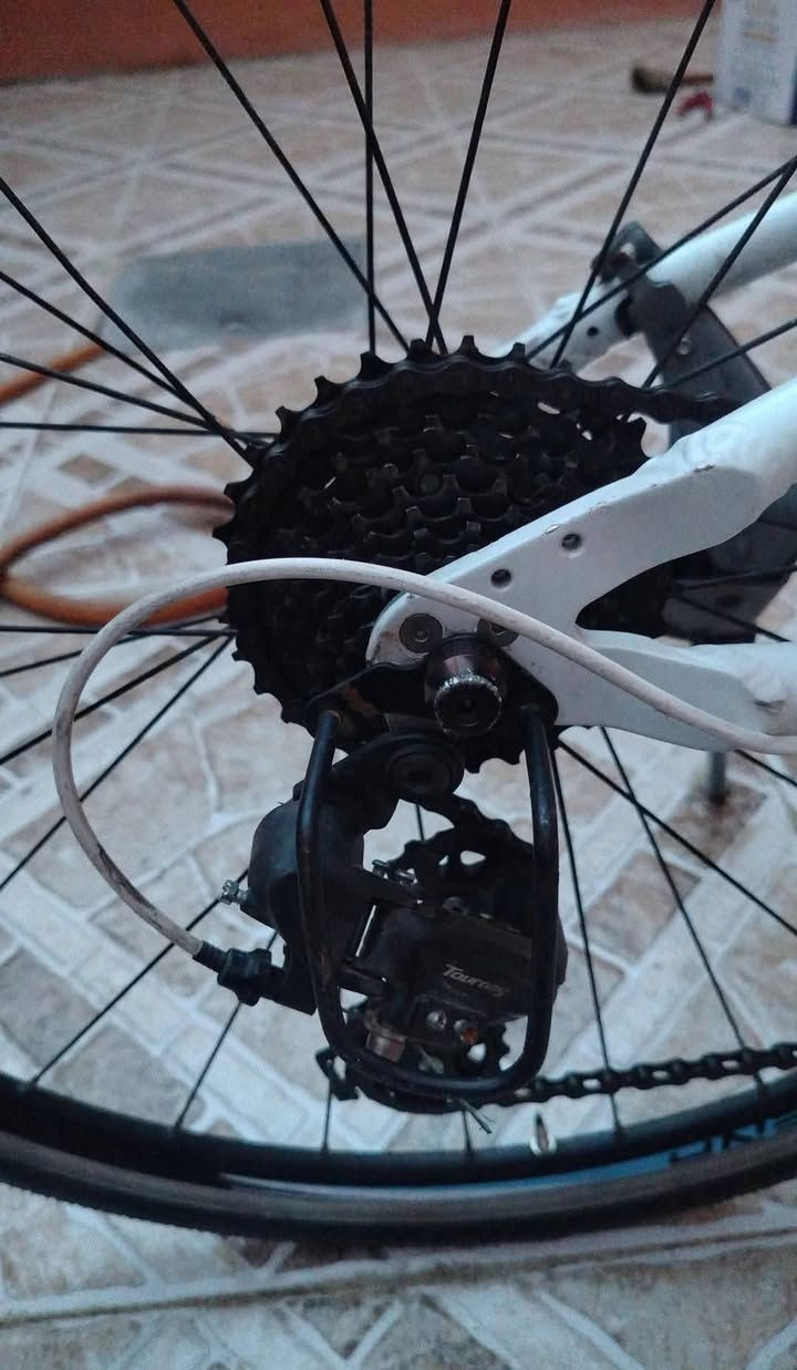 بايسكل C700 للبيع
ماركة DIENA فافون خفيف حيل 
وزن 10 كيلو 
كيرين 3 نمر و 8 نمر 
بريكات شغالة فول 
الموقع الجاني الايسر حي الصديق 
ادفع سعر عجبني ابيعك


**إذا كنت صاحب هذا الإعلان وتريد حذفه لأي سبب، رجاءا أرسل رسالة إلى الدعم الفني**