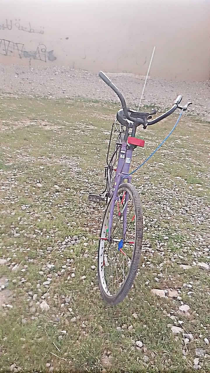 50,000


**إذا كنت صاحب هذا الإعلان وتريد حذفه لأي سبب، رجاءا أرسل رسالة إلى الدعم الفني**