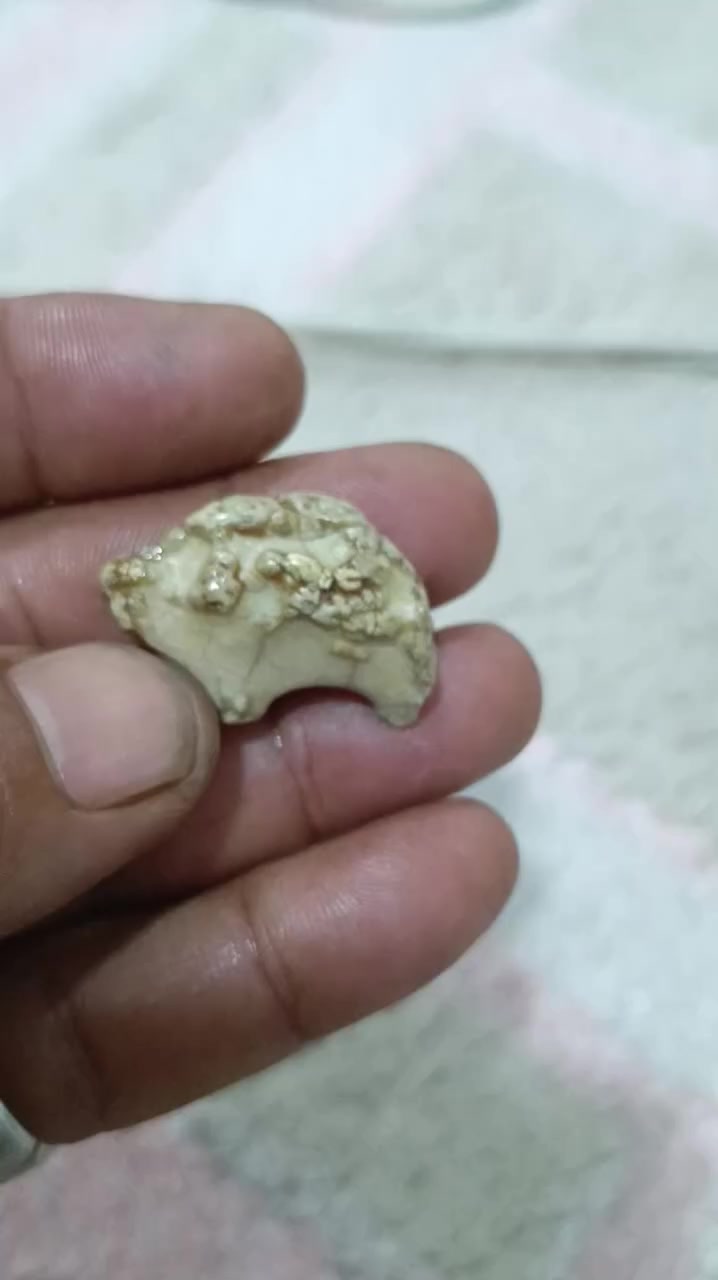 عطف بري ملاكط قديم مصور رباني يوجدتوصيل


**إذا كنت صاحب هذا الإعلان وتريد حذفه لأي سبب، رجاءا أرسل رسالة إلى الدعم الفني**