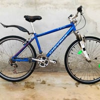 باسكل جبلي • ٢٩ • مكفول