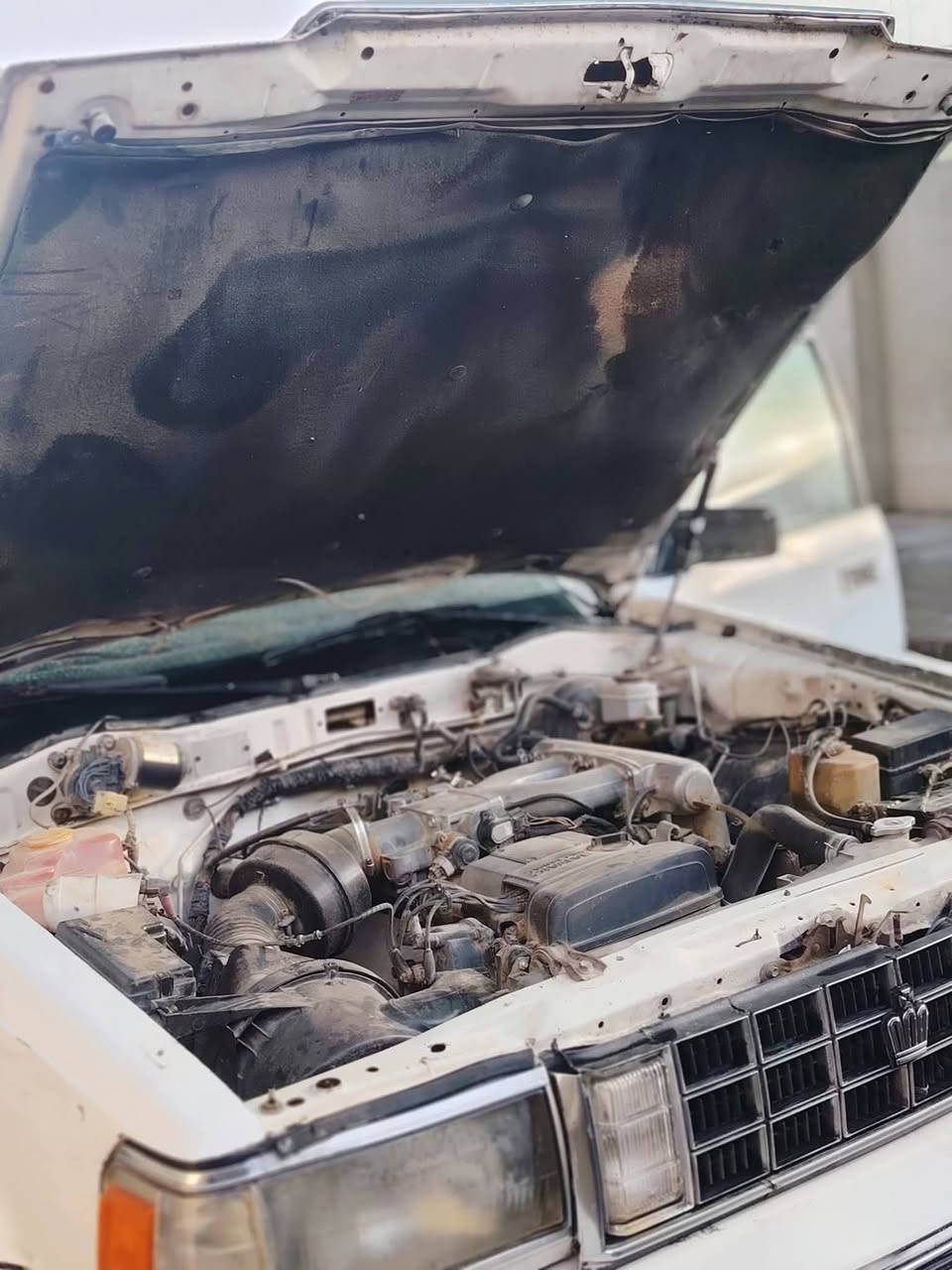 السلام عليكم
سوبر موديل 87
كير و محرك بطه 2500 مكفولات 
تدفئه و تبريد شغلات كهربائيات كلها شغاله شرط
السياره جاهزه من كلشي 
السياره باقي بس الوحات و السنويه استلمهن دولي 
السعر 34 و بيها مجال شي قليل 
و مراوس حسب القناعه 
رقم الهاتف ***********
