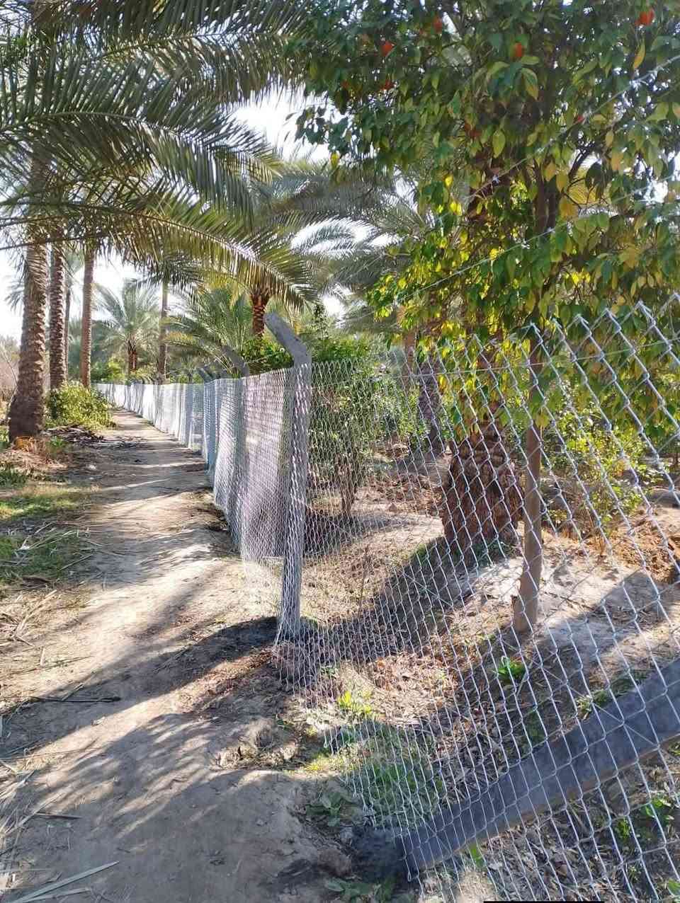 🔔 يسر شركه الزوار لنصب اسيجه ال.brs  بأبعاد وقياسات متنوعة ⚒️
🔔 يسر شركه الزوار لنصب اسيجه ال.brs  بأبعاد وقياسات متنوعة ⚒️
🌟يتوفر سعر المتر ب5 الف 
🌟 BRC بي آر سي سماكة 3.5 ملم مع كريسيه وتركيب بسعر 9,000 دينار
🌟 BRC بي آر سي سماكة 3 ملم مع فتحات 5 وفحص بسعر 11,000 دينار
🌟 BRC بي آر سي سماكة 3 ملم مع كريسيه وتركيب بسعر 9,000 دينار
🌟 BRC بي آر سي سماكة 3 ملم مع جادر بسعر 9,500 دينار
🌟 BRC بي آر سي سماكة 2.8 ملم بسعر 8,500 دينار
🌟 BRC بي آر سي سماكة 2.8 ملم مع جادر بسعر 9,500 دينار
🌟 BRC بي آر سي سماكة 2.7 ملم بسعر 7,500 دينار
🌟 BRC بي آر سي سماكة 2.7 ملم مع جادر بسعر 8,500 دينار
🌟 BRC بي آر سي سماكة 2.6 ملم بسعر 7,000 دينار
🌟 BRC بي آر سي سماكة 2.6 ملم مع جادر بسعر 7,500 دينار
🌟 ويتوفر لدينا سعر المتر بقيمة 6,000 دينار
🌟 كما نقدم خدمات التصنيع والتركيب لجميع أنواع الأسوار الاصطناعية ☘️☘️
💰 أسعارنا تنافسية 😉💰
🚛 نقوم بتقديم خدماتنا في جميع محافظات العراق
💰💰 ملحوظة: يتوفر لدينا سعر المتر بقيمة 5,500 دينار 💰💰
📞 للمزيد من المعلومات، يرجى التواصل معنا عبر الزر أسفل هذا المنشور أو الاتصال على الأرقام التالية:
📞 يتوفر واتساب
*********** 📞🌟يتوفر سعر المتر ب5 ا
