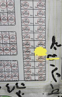 بال ٦كيلو • ٢٥٠م • واجهة شارع ٣٠م