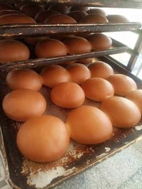 بحاجة شغل • مطاعم • صمون
