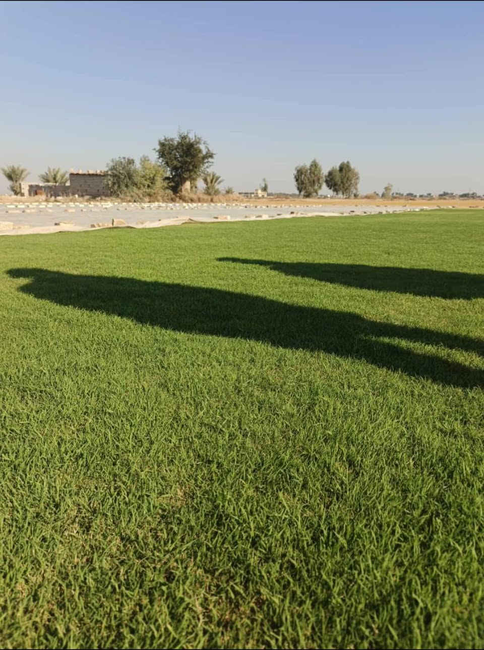 مزارع ثيل ديالى لتجهيز كافة انواع الثيل الطبيعي
يقدم لكم افضل نوعيه بالسوك وبانسب سعر
يوجد ثيل طبيعي درجه اولى وبكافة انواعه المختلفه🌿
هندي - فرنسي - ايطالي - انكليزي...
مستعدون لتجهيز :
دوائر حكوميه🏦👇
منازل🏡👇
منتزهات🏄👇
يوجد كادر متخصص وتوصيل الى جميع المحافظات
للتواصل اول الاستفسار راسل الصفحه او اتصل 
***********
***********
