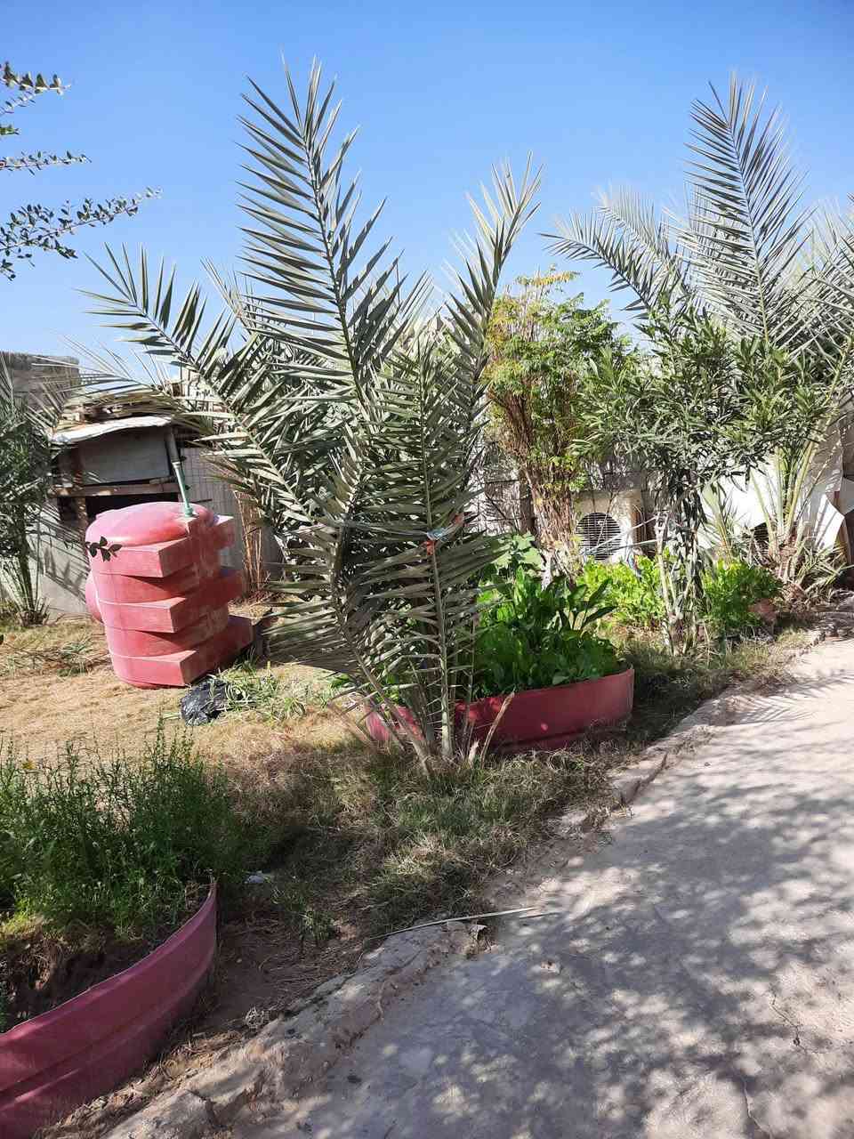 السلام عليكم بيت للبيع ٣٢٢ متر جنس العقار طابو صرف جاي نشتغل بالتطويب البيت يحتوي على غرفتين كبار واستقبال وصاله كبيره ومطبخ كبير ومطبخ حار صحيات داخليه وخارجيه السعر ٤٦ وبي مجال  بيه كراج سياره حديقه تعديل عنوان الدار خير دور الاكراد عليها خط كيات مدارس مجاري وسبيس كافة الخدامات


**إذا كنت صاحب هذا الإعلان وتريد حذفه لأي سبب، رجاءا أرسل رسالة إلى الدعم الفني**