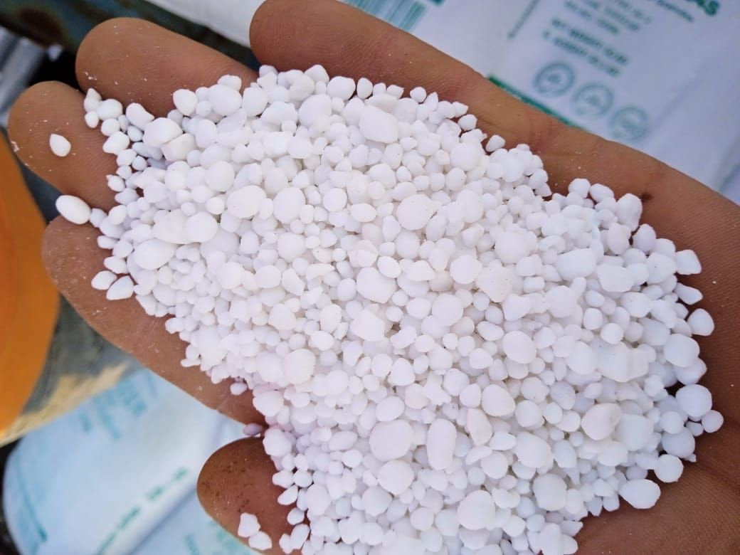 تم وصول كميات كبيرة #سماد 
<<#الإيراني 
درجه اولى 
#خشن 
بسعر تنافسي مناسب جدا   
  العنوان بابل الكفل
مقابل كراج بني مسلم 
جمله +++++++مفرد 
***********
***********
