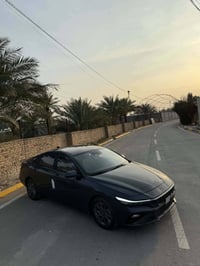 اڤانتي ٢٠٢٤ • بدون لوحات • صبغ بسيط