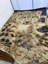 زوليه قياس ٣ متر ونص وعرض ٢ونص  سعر 75 ألف مكاني بغداد السيديه 0772222...