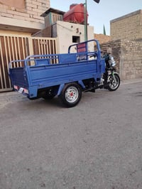 ستوته • وكيل نوار • ستوته نوار • ستوته للبيع • ستوته جديده • ستوته كفا...