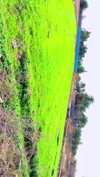 اليوسفية • مزرعة • ٢٥٠٠م