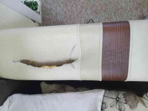 سلام عليكم تخم قنفات لبيع مستخدم مابي عيب بس دوسه سعره ١٥٠ وبي مجال ***********
