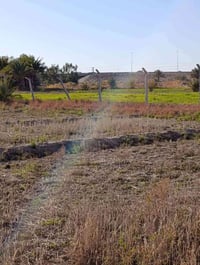 ٣ دونم • طابو زراعي سند ٢٥ • جسر الحلة-المحاويل