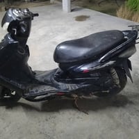 لبيع سكنس فحل 07866718208