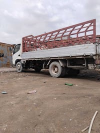 بصره • انكر • بكيه حمل