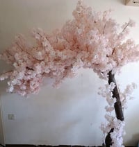 شجرة ديكور • كلش حلوة