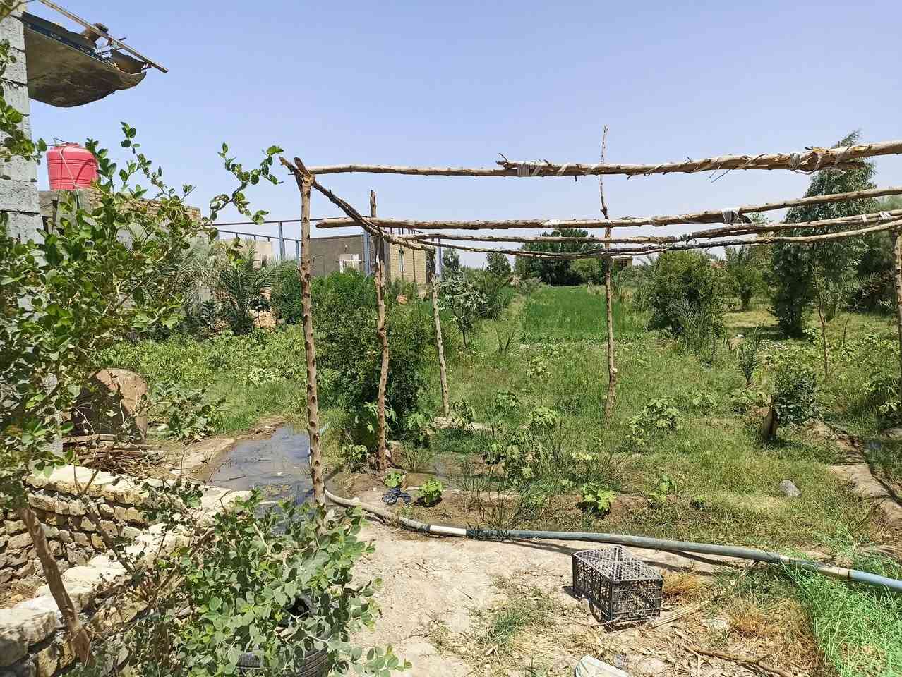 السلام عليكم دونم طابو زراعي سند 25 تحتوي الدونم على محلات 2 وغرفه وزرع 80نخله و40 رمانه وتين ومزروعه جت وبير حلو للسكي وماي اساله وكهرباء ومولد على شارع تبليط الموقع خلف عمارات الزيتون قرب الكفه الجديده للاتصال ***********
