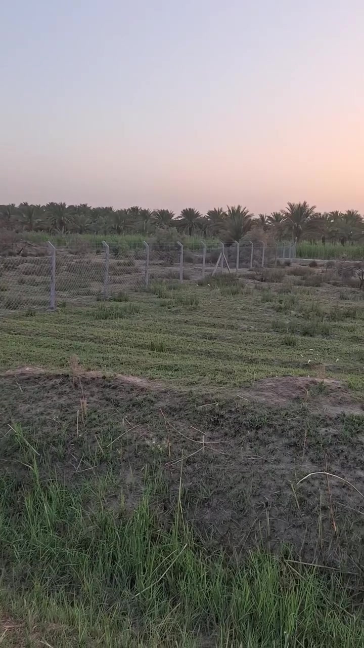 السلام عليكم للبيع ارض زراعي ٣دوانم طابوزراعي سند٢٥ كافت الخدمات بابل حله النيل قرب الانضباط استفسار ***********
